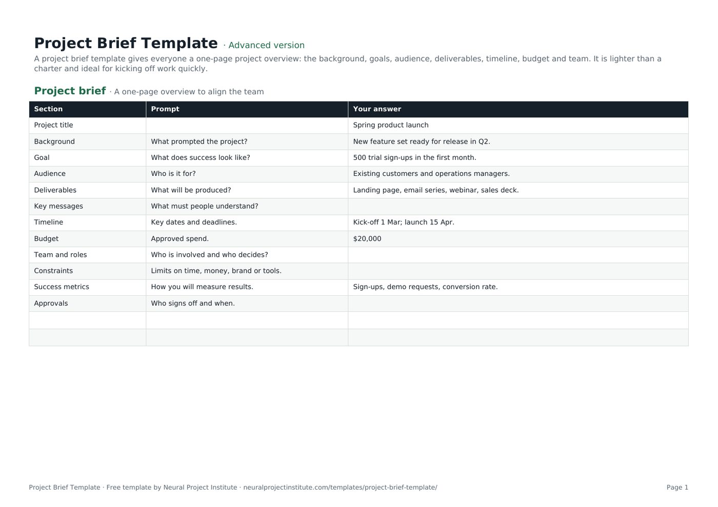 project brief template